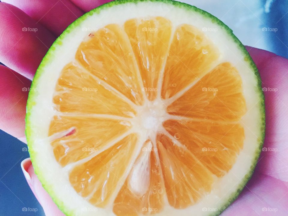 Citrus hybrid 🍋🍊