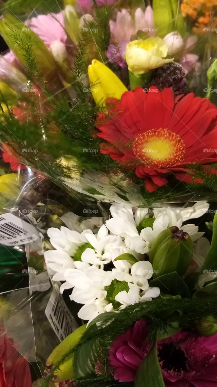 Blumen