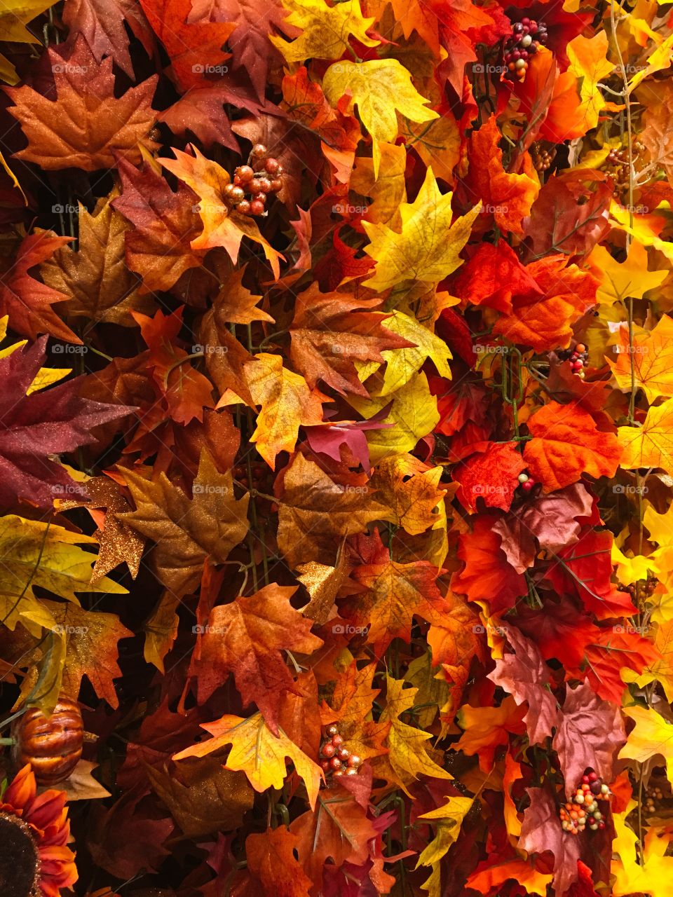 Full frame shot of autumn leafs