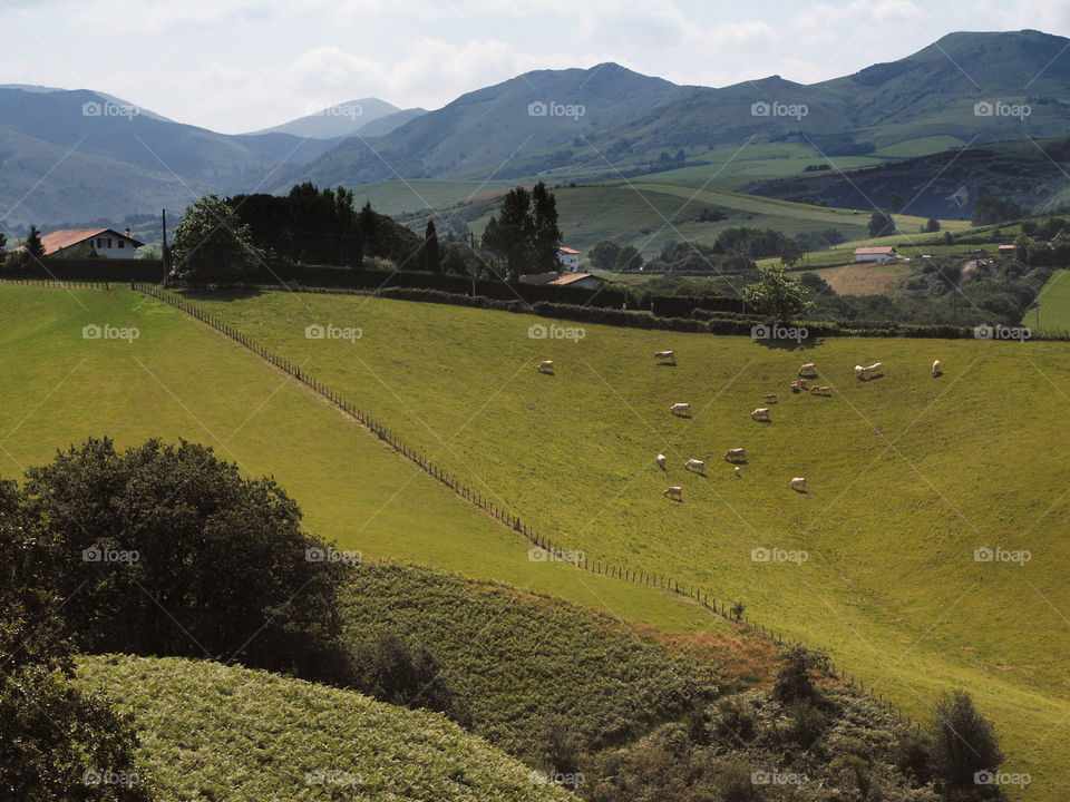 Pays basque 