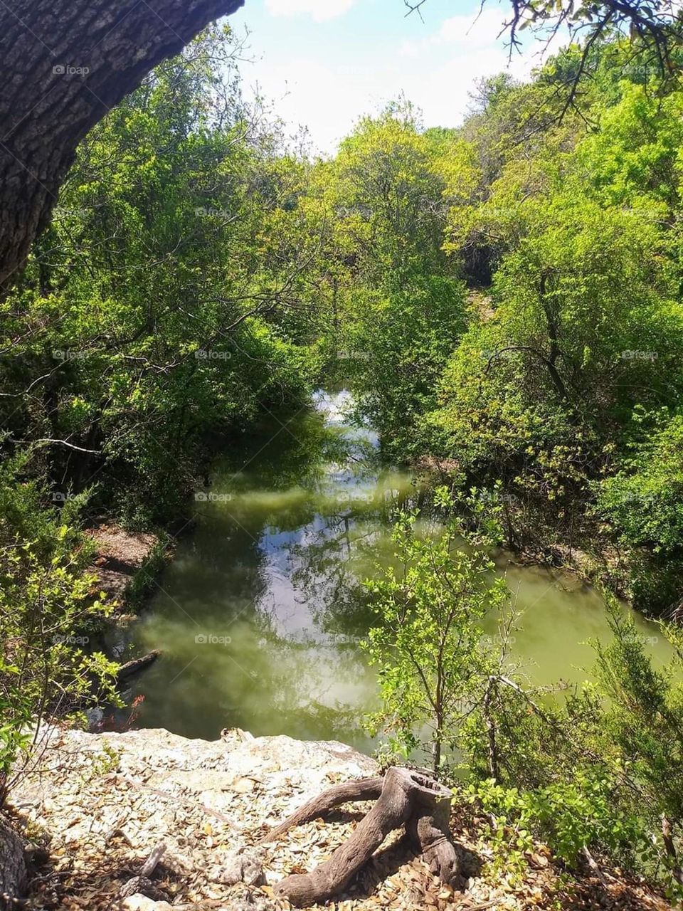 Austin Texas, Green belt