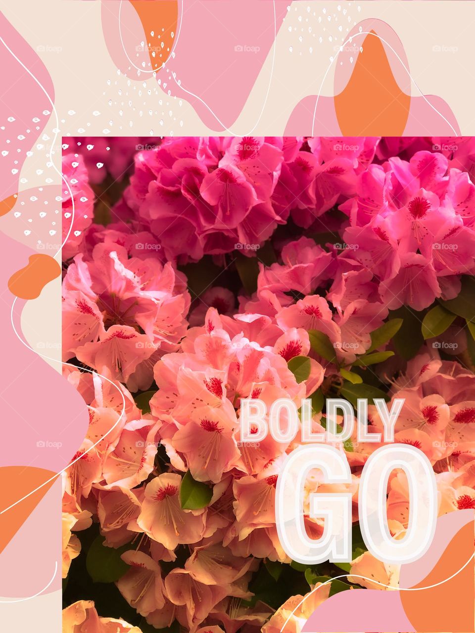 Experimenting with Photoshop Express. Colourful pink and orange toned flowers with an offset border. 