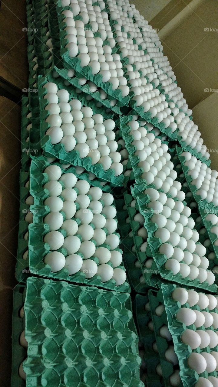 Cartelas com ovos de galinhas de granja.