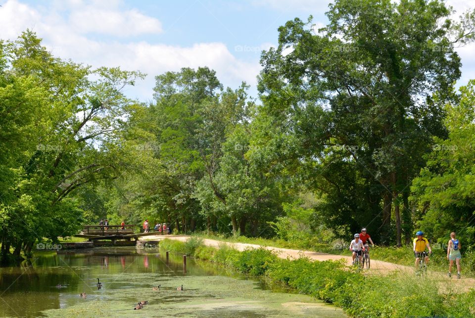 Tow Path