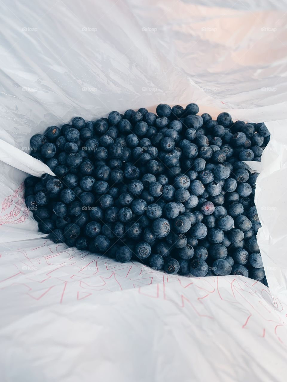 blueberry picking 