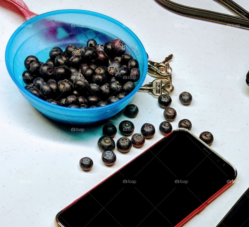 Blueberries for everyone