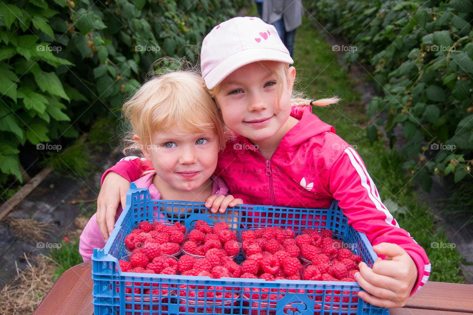 Two sisters picking Raspberries at Hallongårde outside Malmö Sweden.