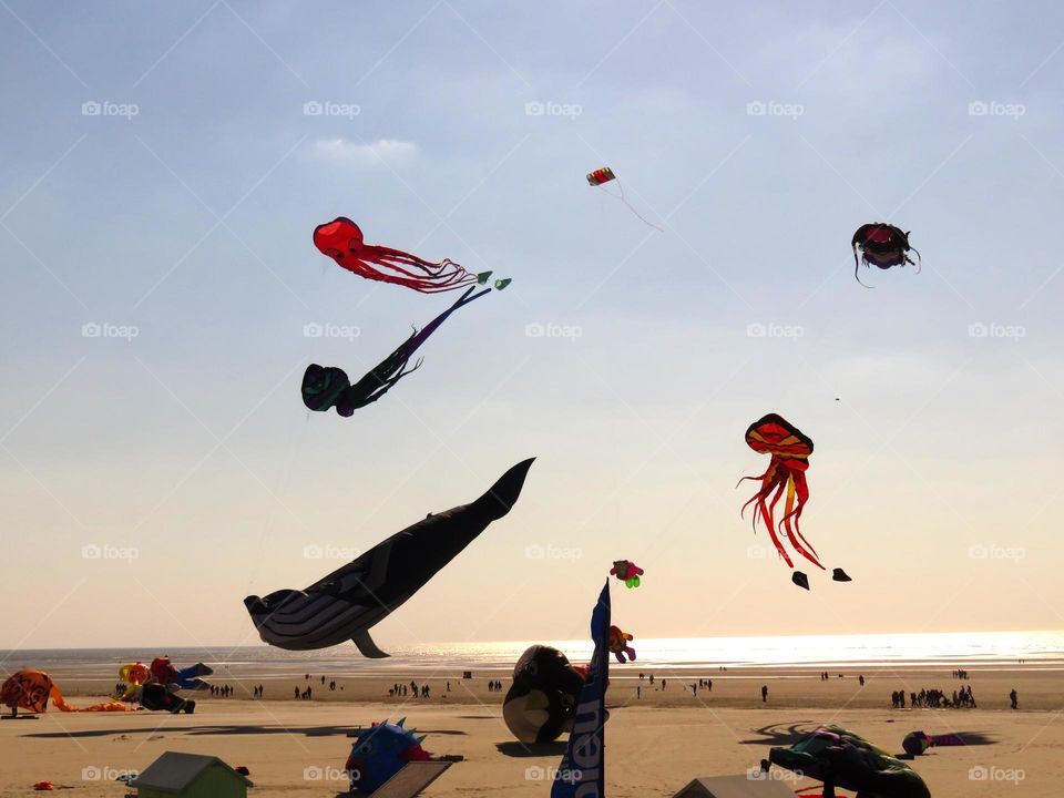 colourful kites 