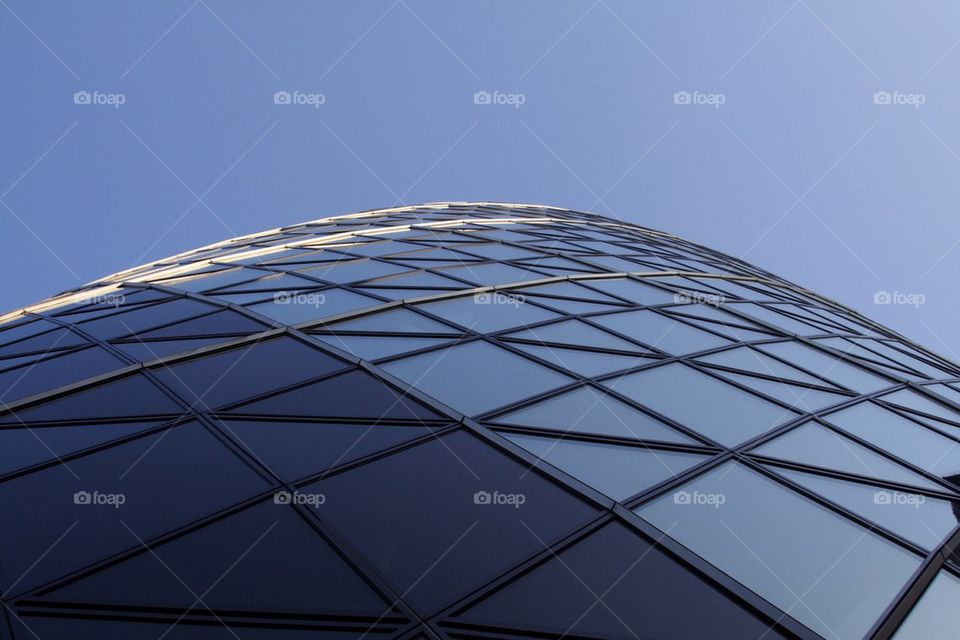 The gherkin