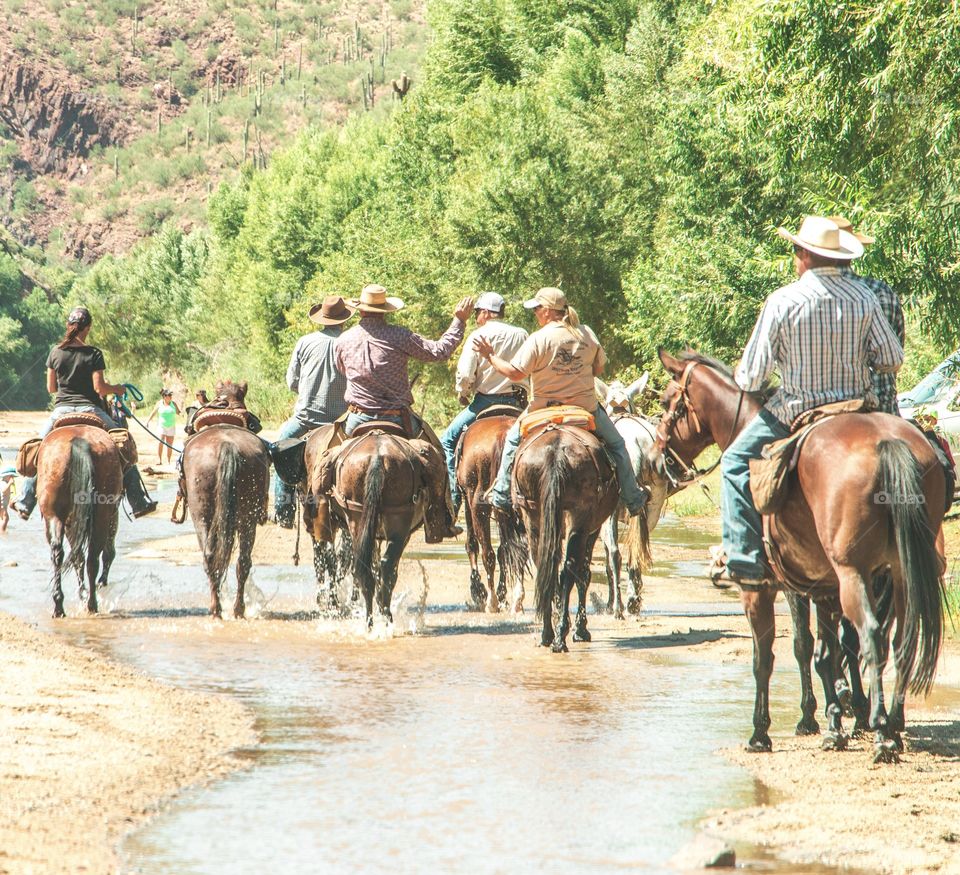 Cowboys and cowgirls 