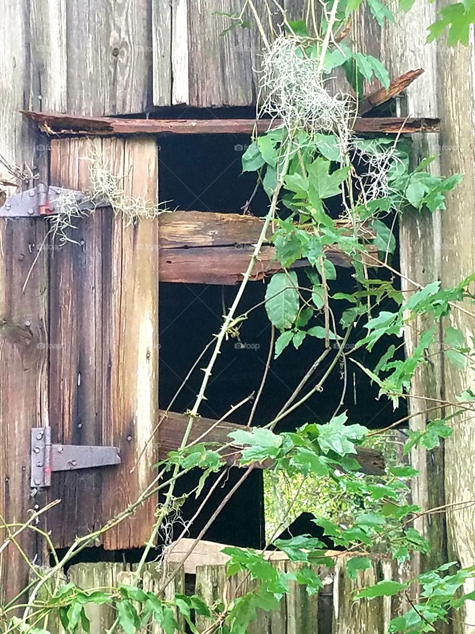 barn window