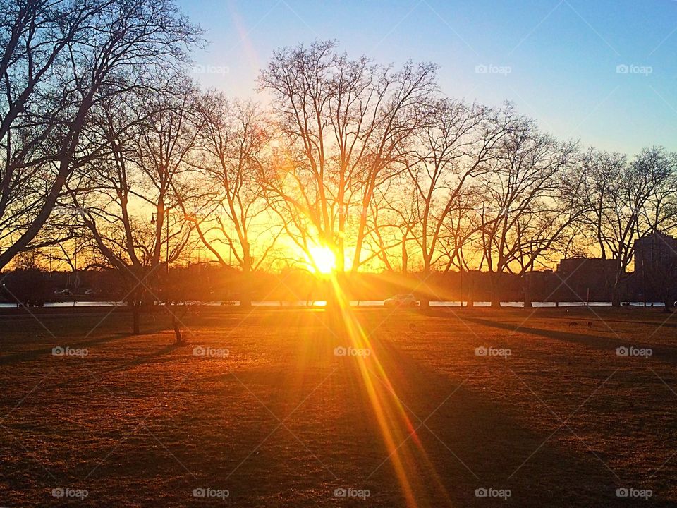 Sunset over the Charles 