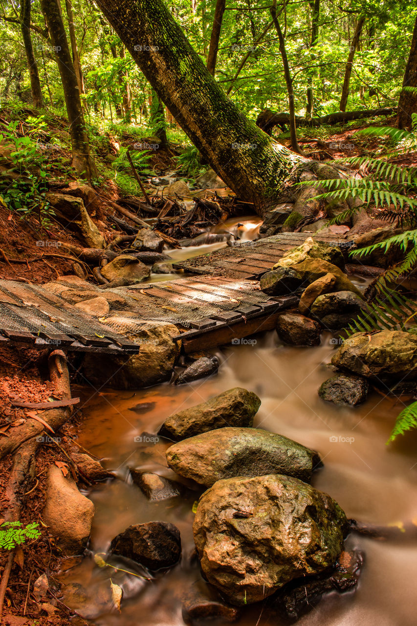 Small wooden bridge to cross a stream in the forest, it is used for hikers and cyclists