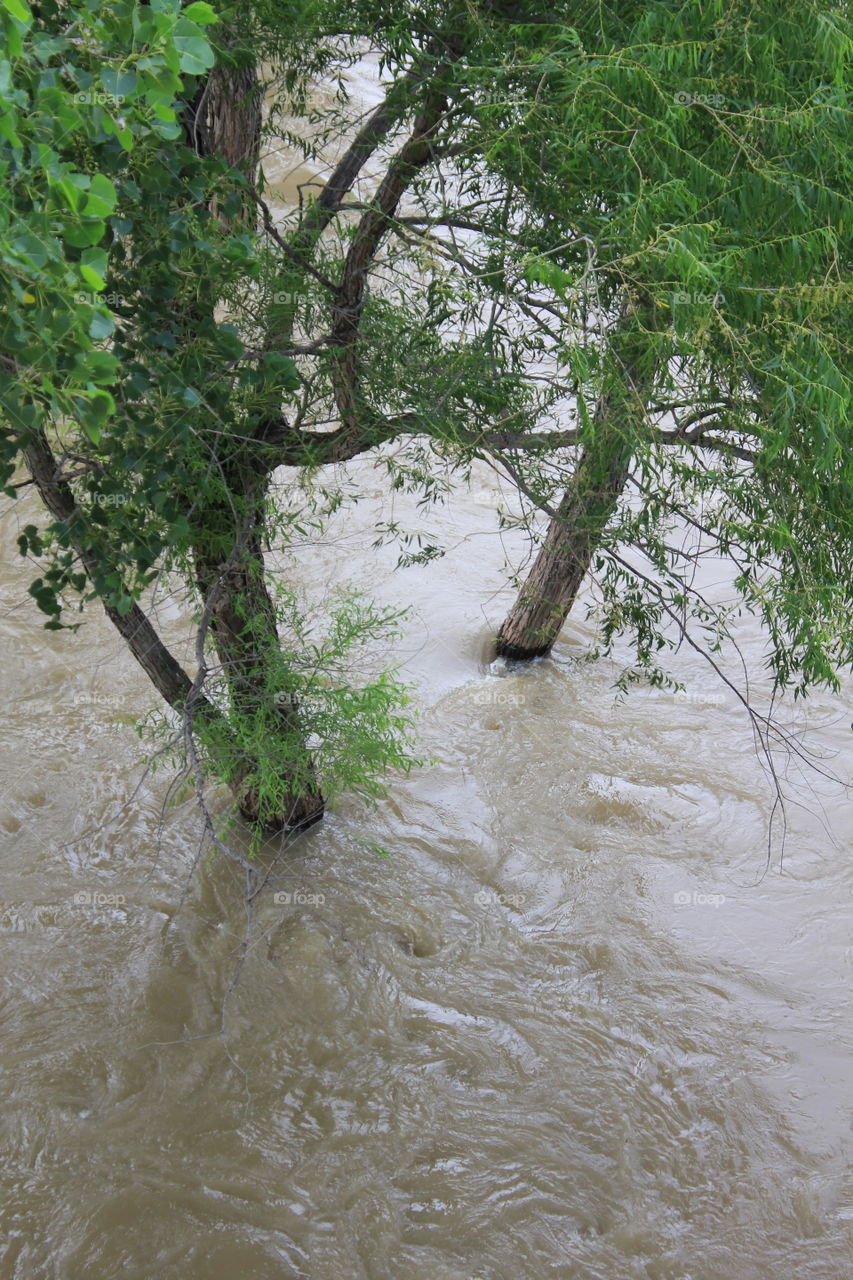 Swirling floods. Swirling flood waters in the trinity river in Dallas Texas 