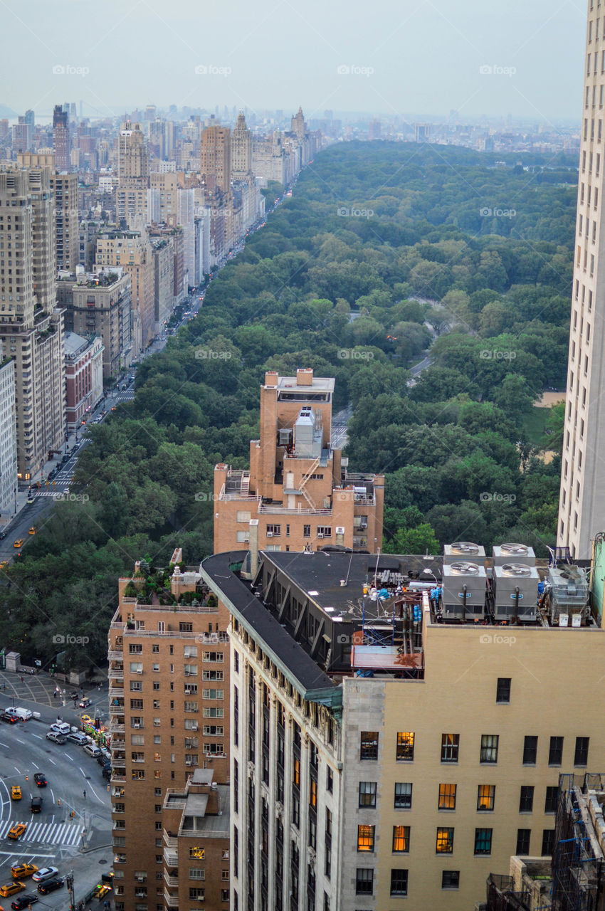 Rectangle, A piece of greenery in a world of concrete jungle. 