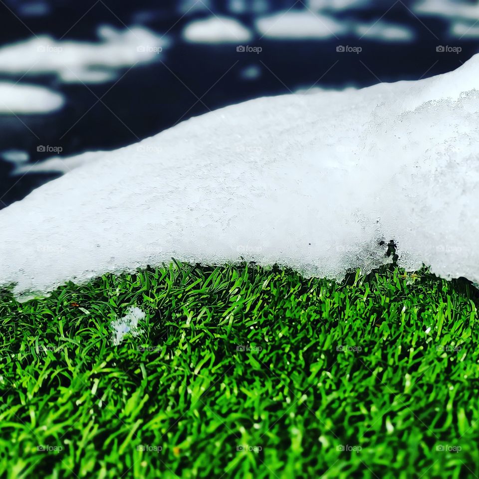 snow on the grass spring