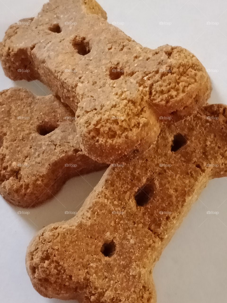dog bone biscuits