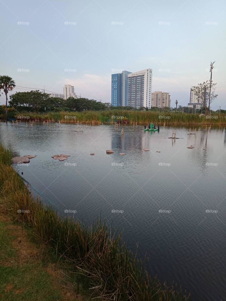 Evening lake