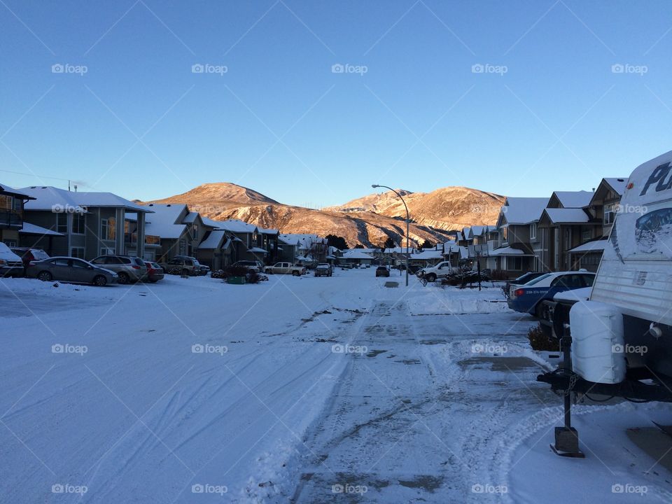 Snowy neighbourhood! 