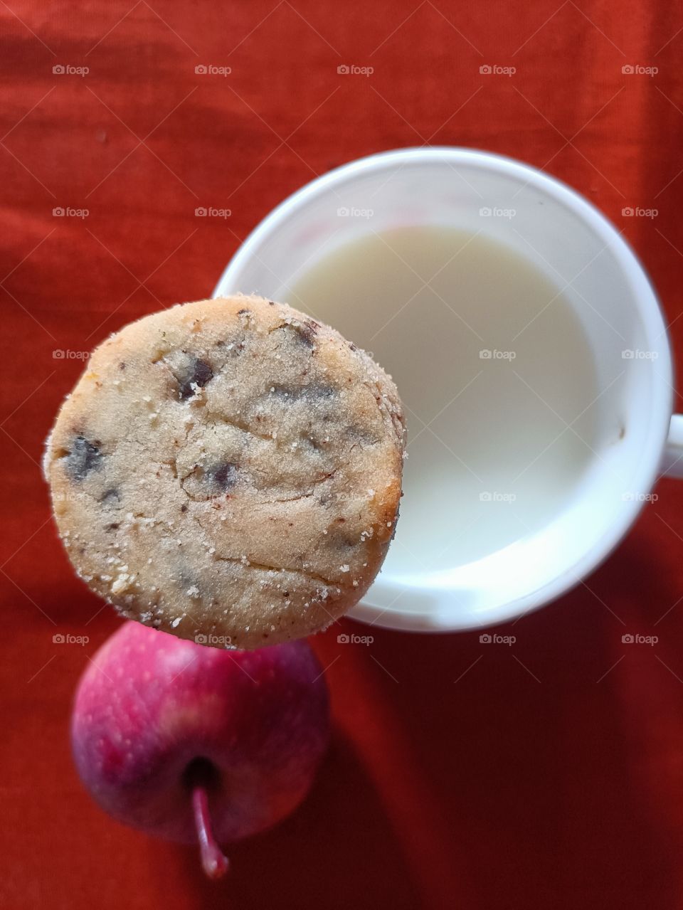 living in harmony and compliment each other