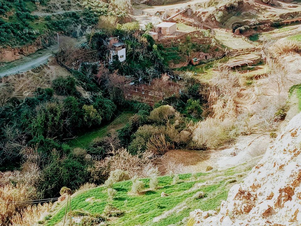beautiful day valley whit water and trees