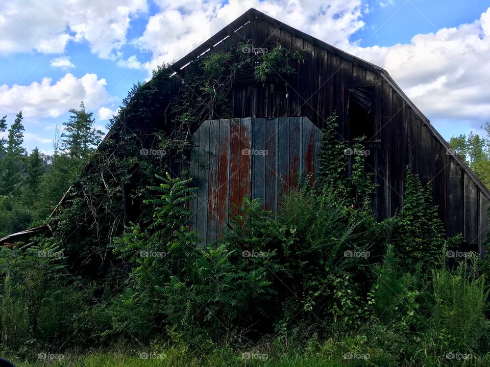 Abandoned Barn