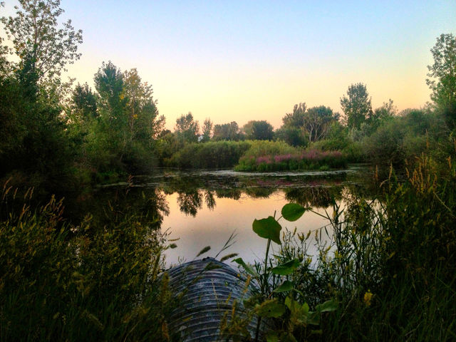 sky green nature pond by stykellee