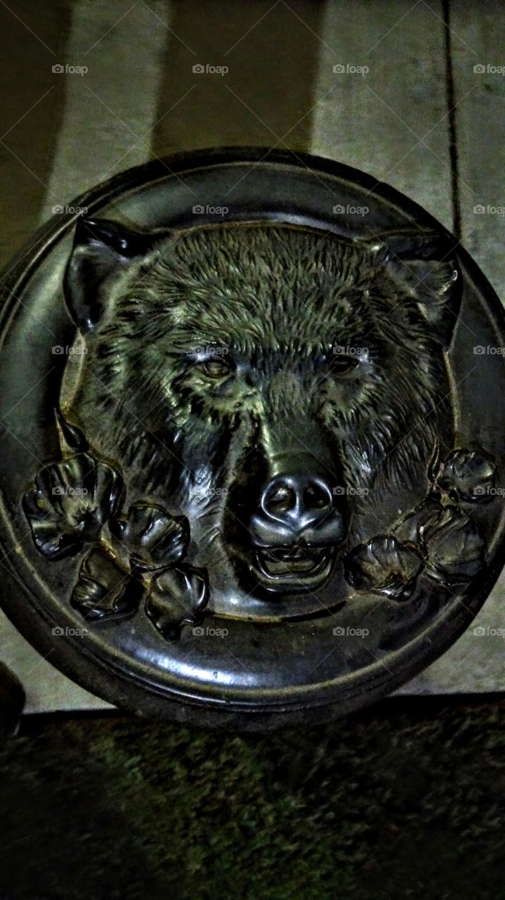 bear face, out walking around in downtown Sacramento taking night🌙 pictures