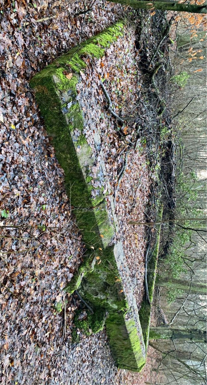 An old small house base in the forest 