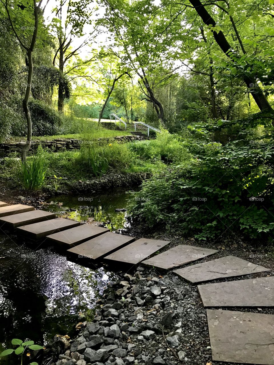 A path through the lust green oasis