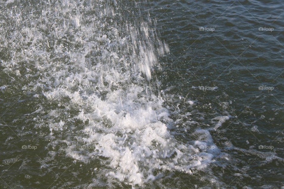 Water in Motion 