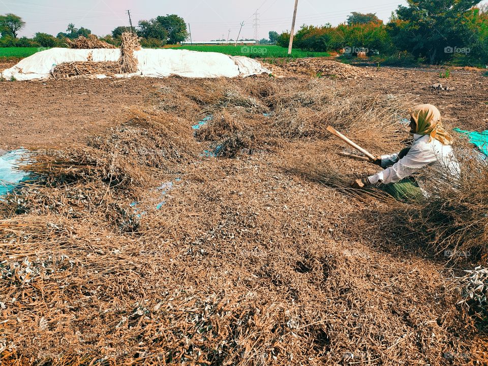 Farmer lady Do Grains separation shot on camera