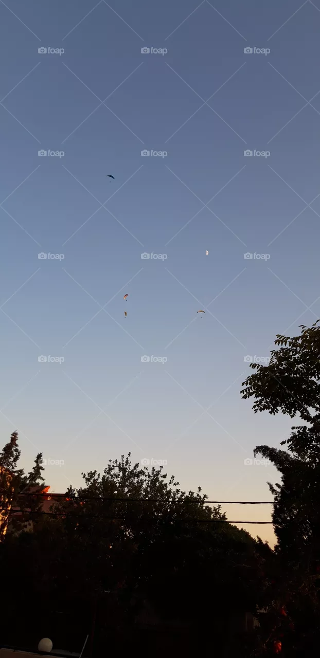 kite