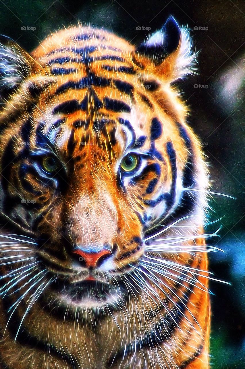 Sumatran Tiger FX