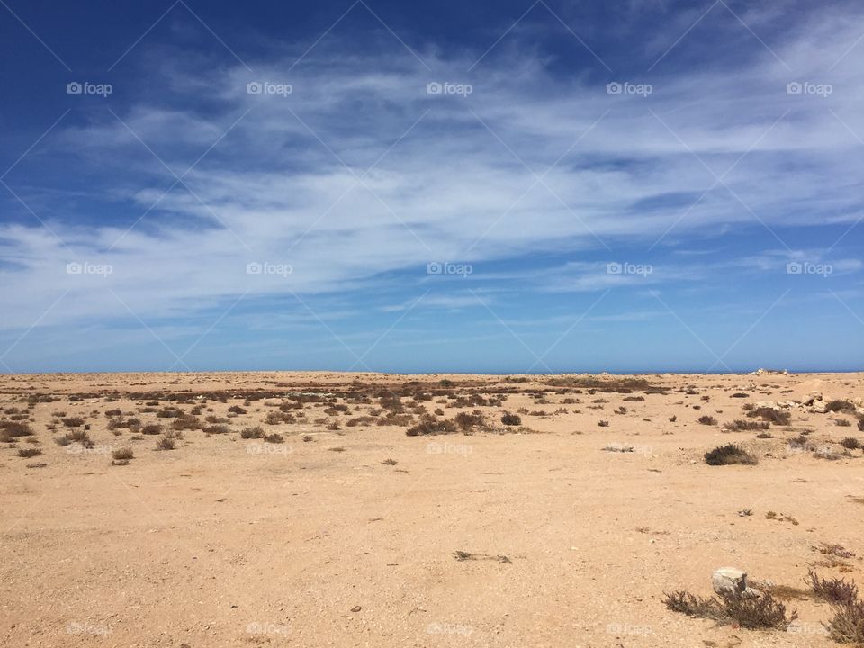Moroccan desert 
Laayoun- Morocco