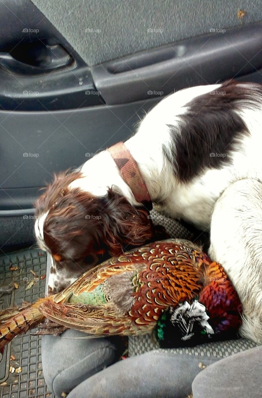 Sleeping with Her Prize