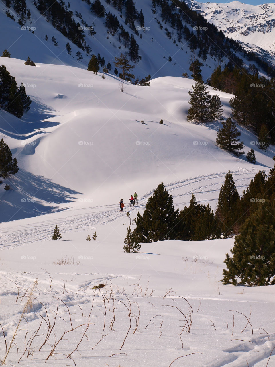 Group of people skiing on mountain