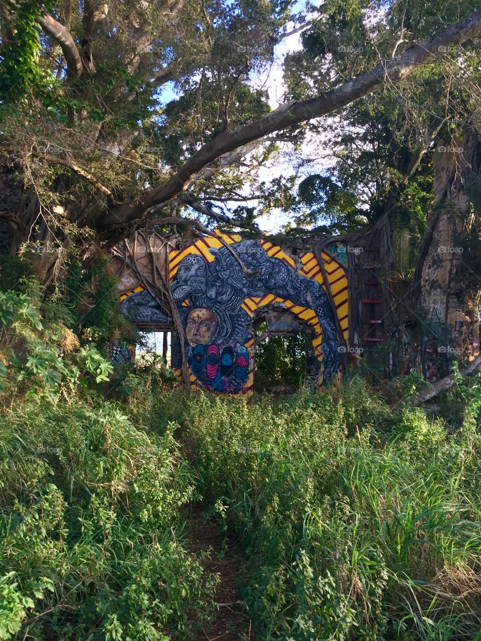 Tree, Wood, Nature, Landscape, Flora