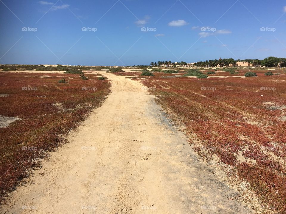 Road in Santa Maria Cape Verde