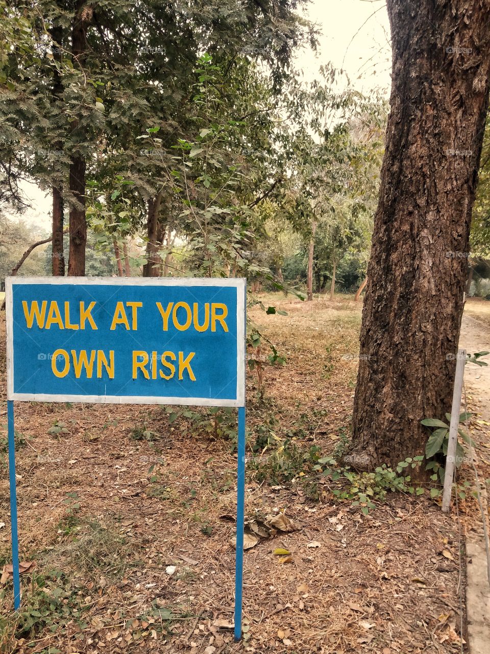 Walk at Your own Risk