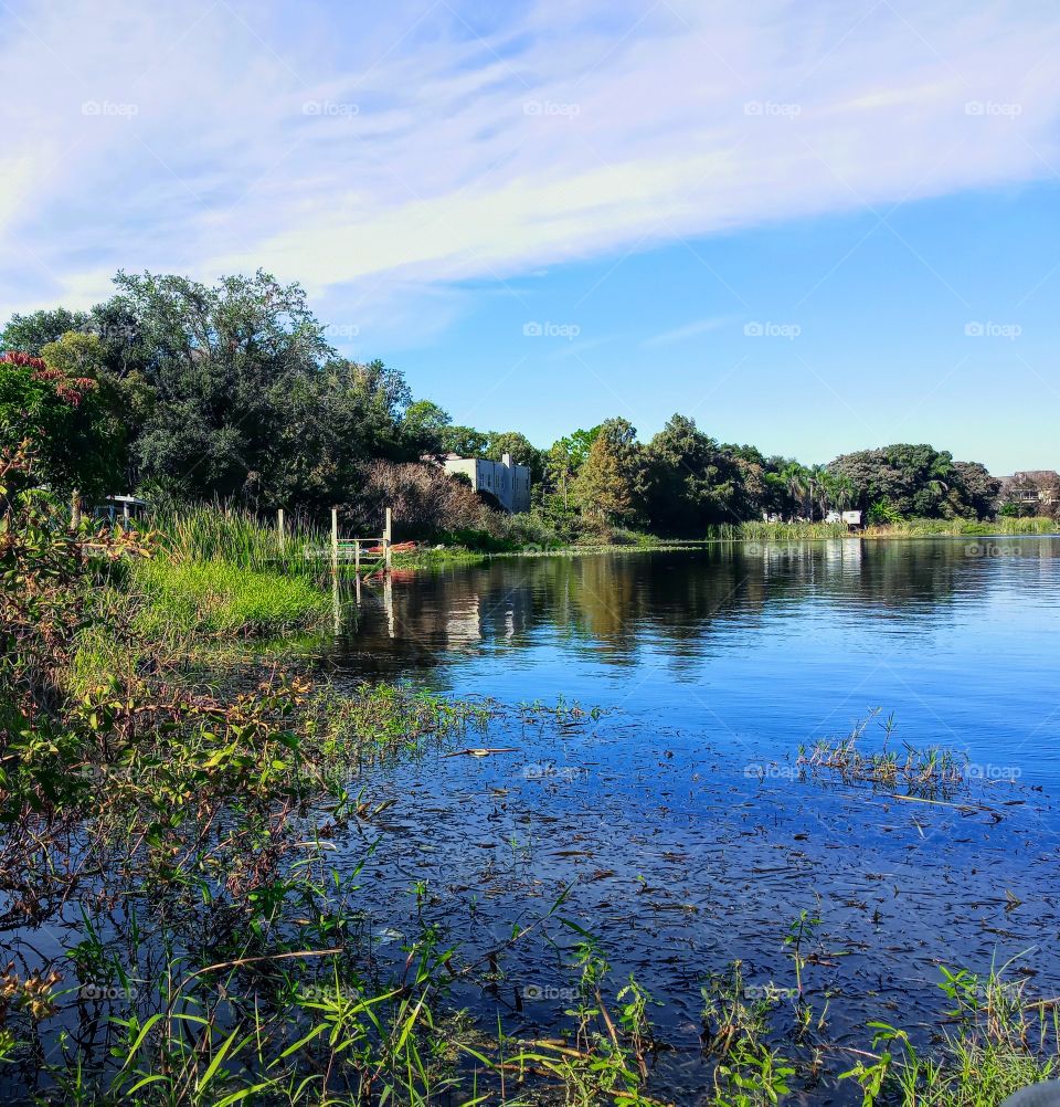 Lake Fairview Lakeshore