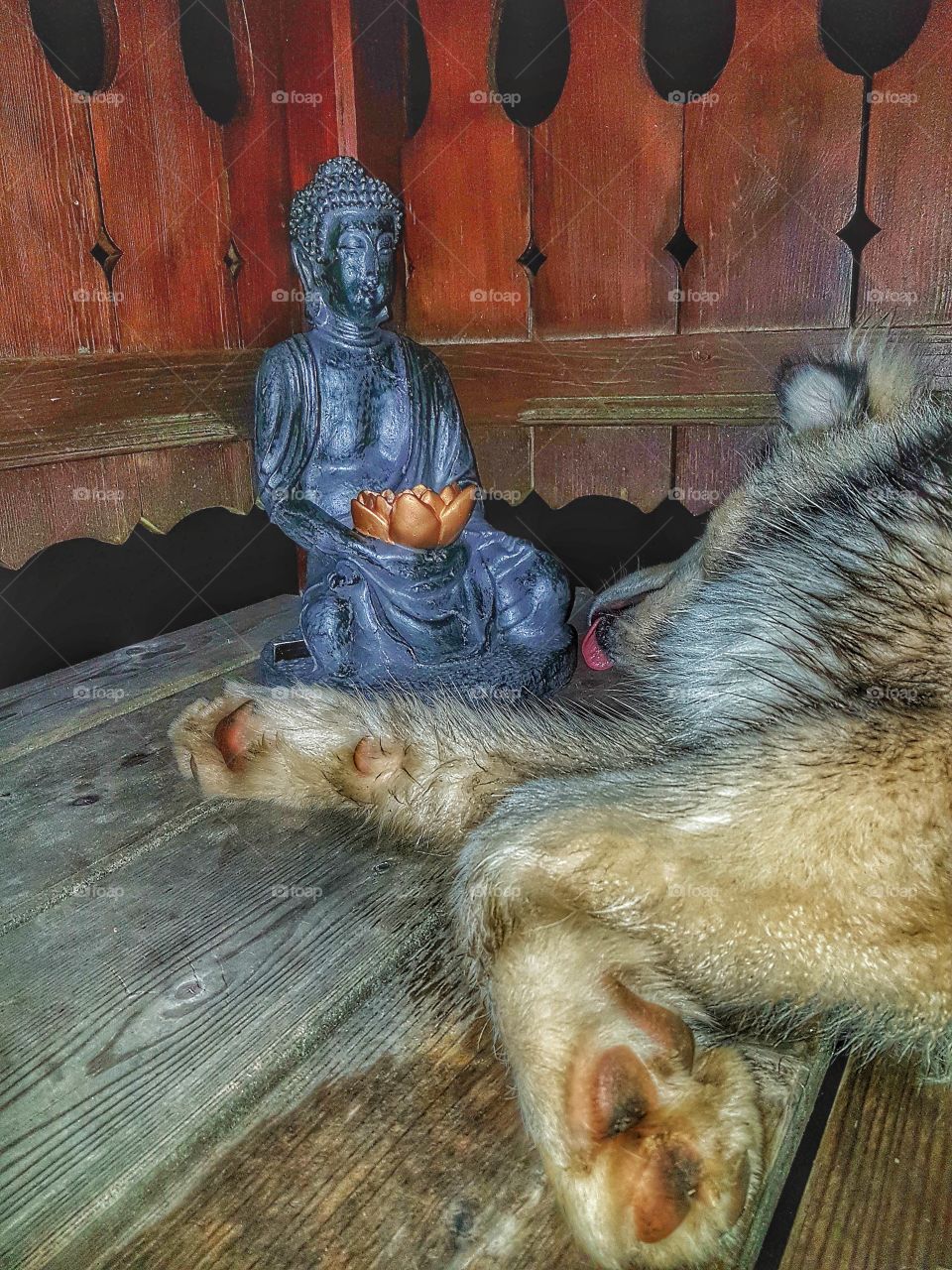 Sleeping with Buddha