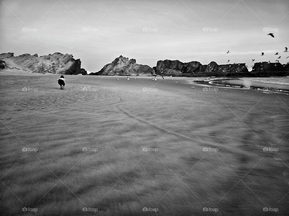 sunset walk on the beach, and it is low tide. beautiful big rocks in the background with seagulls flying