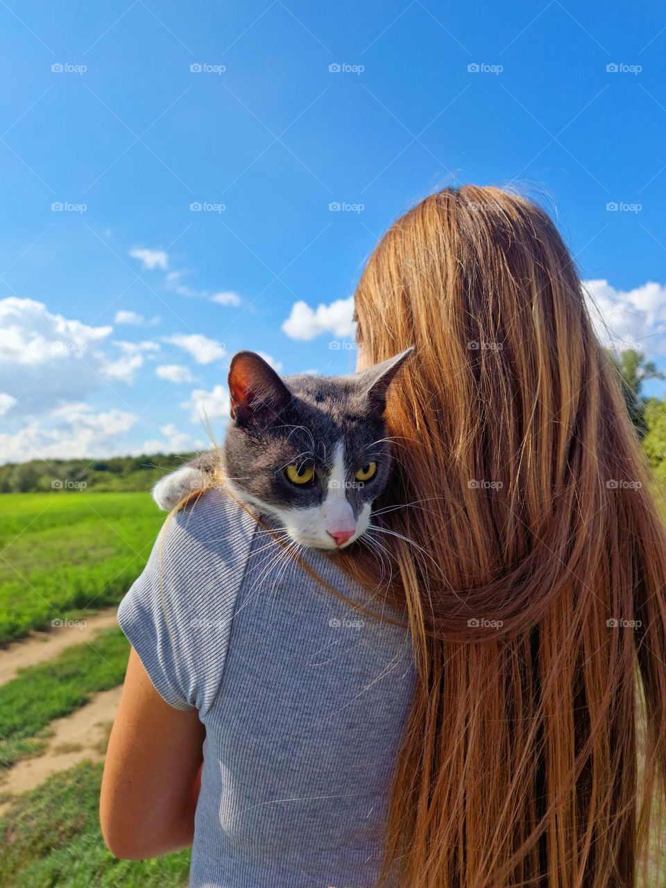 the calmness of Felix the cat who feels safe in the arms of the mistress