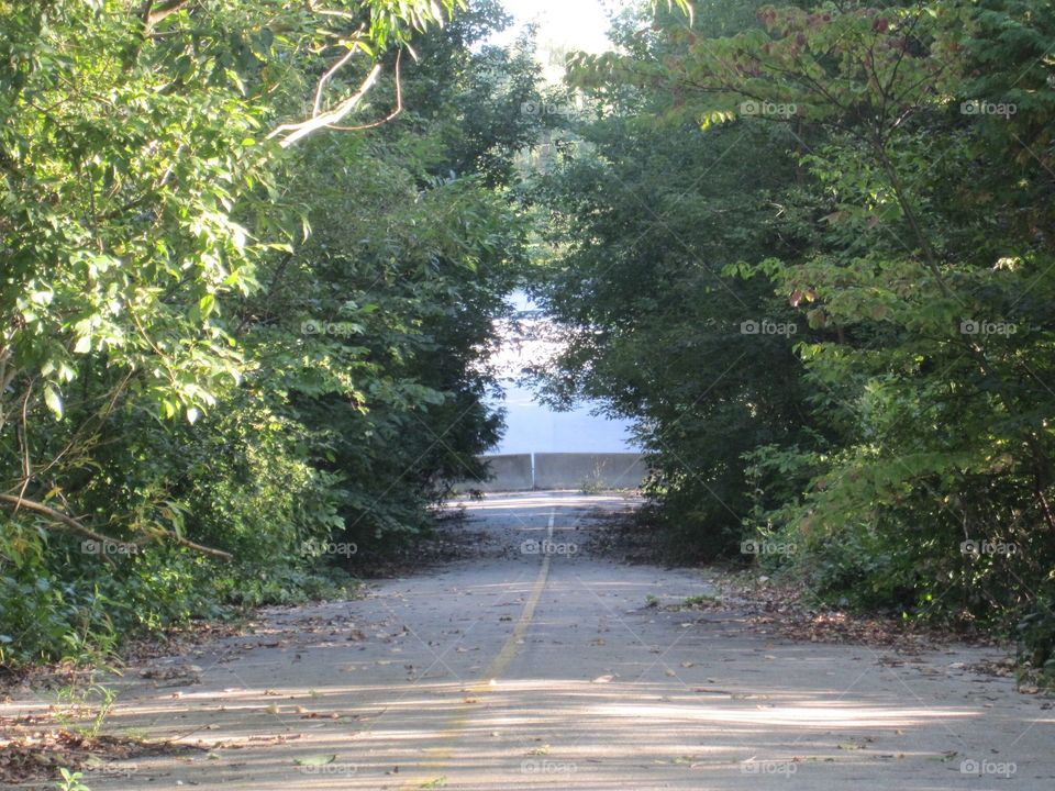 Narrow Roadway with overgrown trees with little space to go through 