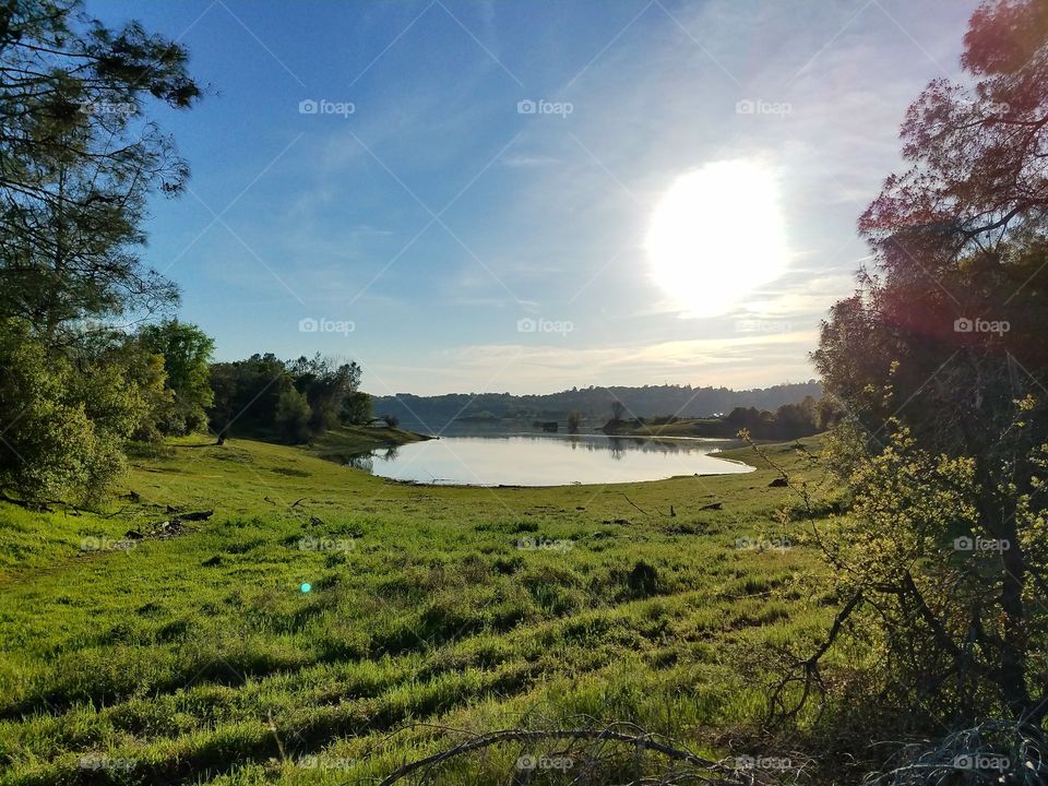 Springtime at Folsom lake