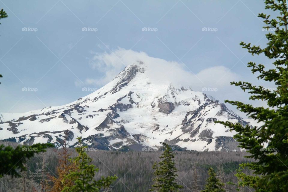 Snow, Mountain, No Person, Landscape, Wood