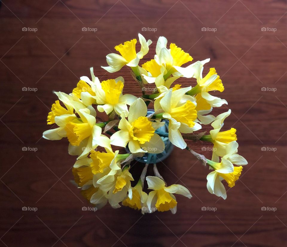 Yellow spring daffodils from grandma's garden in vase flower 