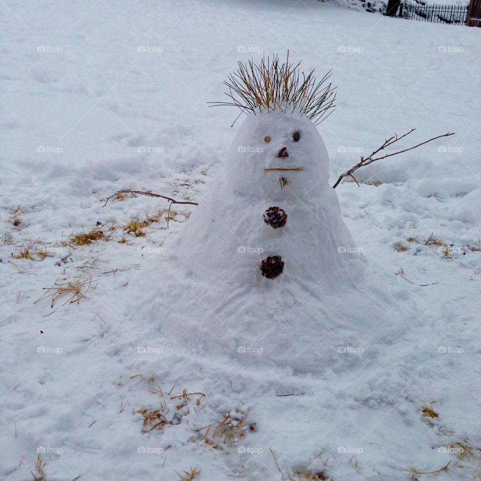 Dry Snowman 