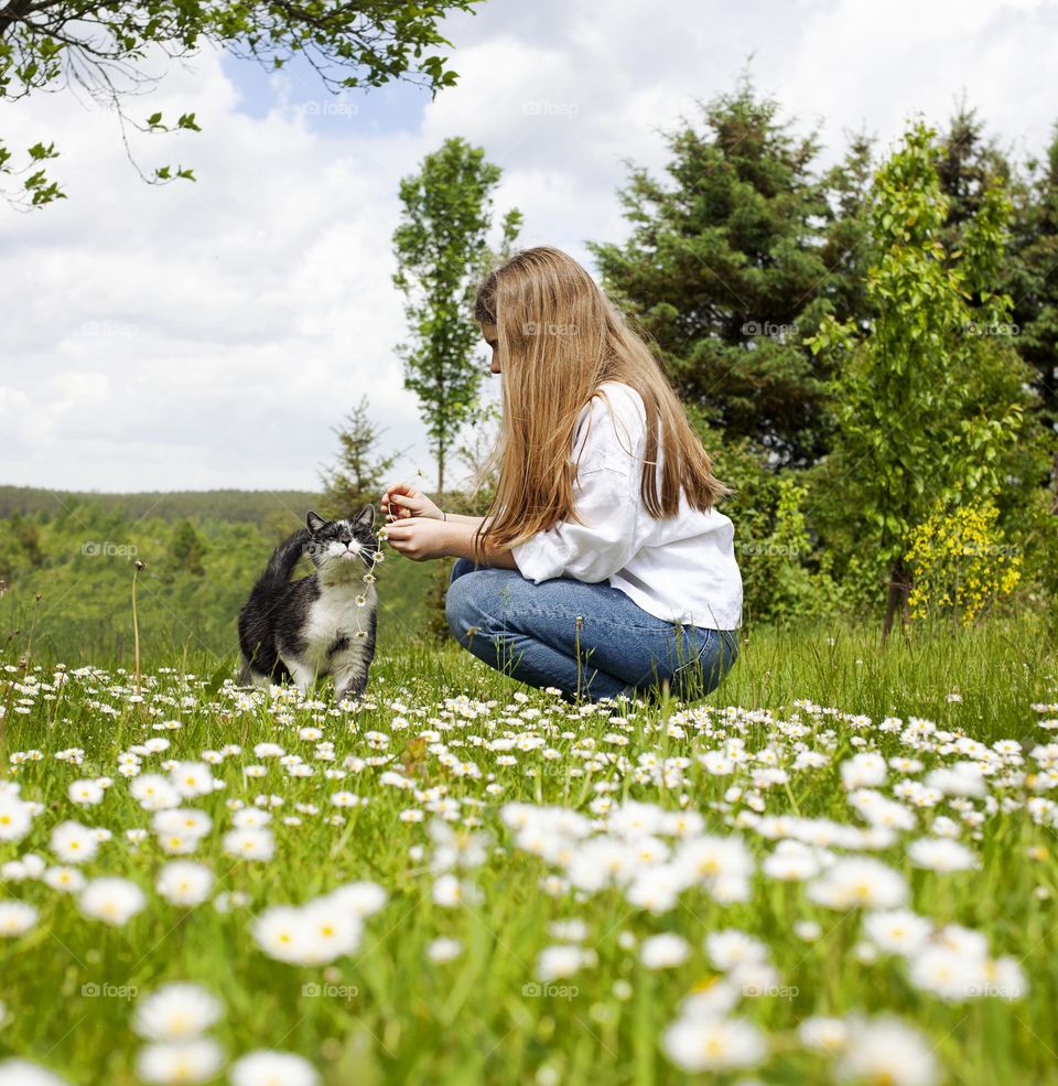 Girl with a cat in a meadow weaving  garland of daisies. 